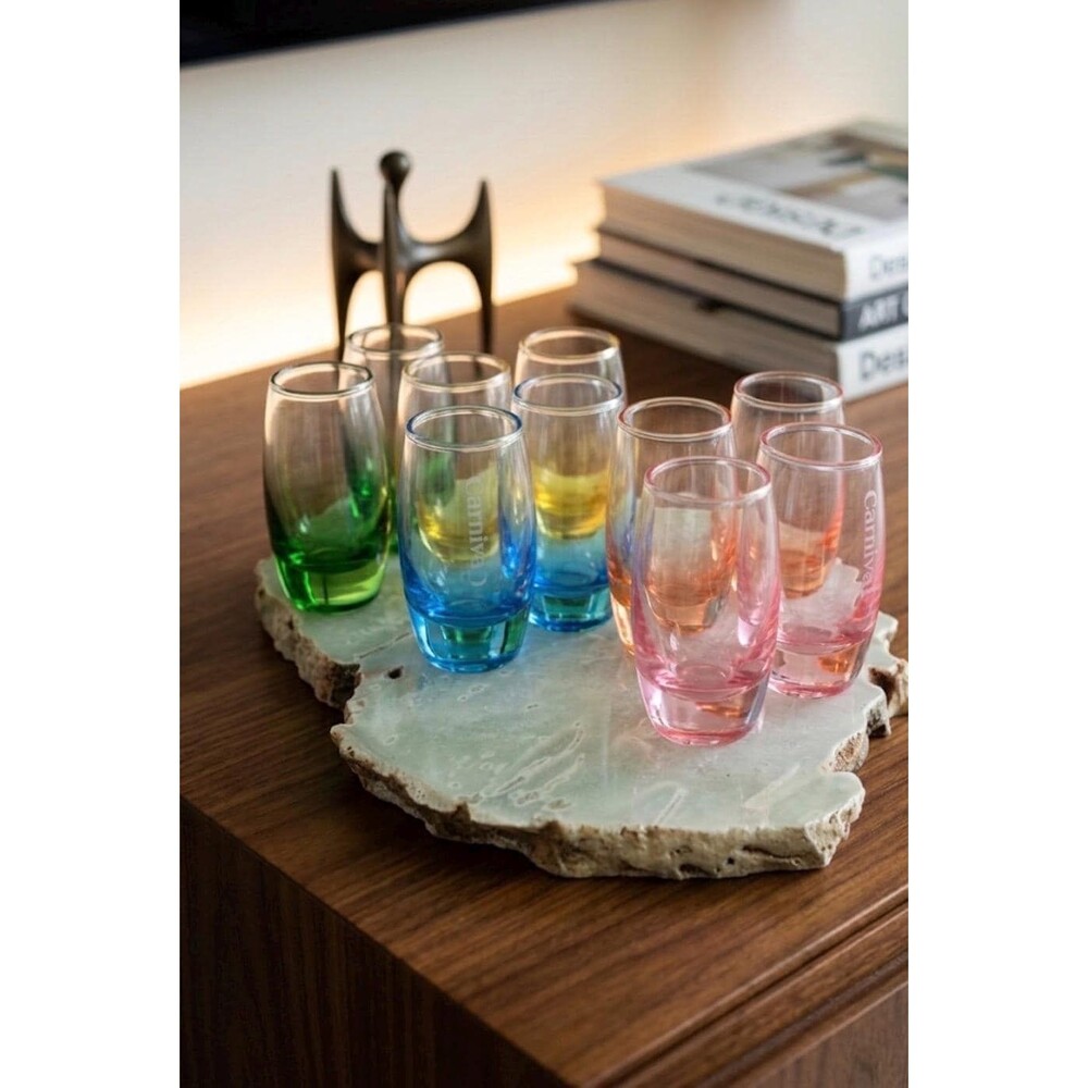 Set of 10 Carnival Cruise Line Vibrant Ombré Souvenir Shot Glasses